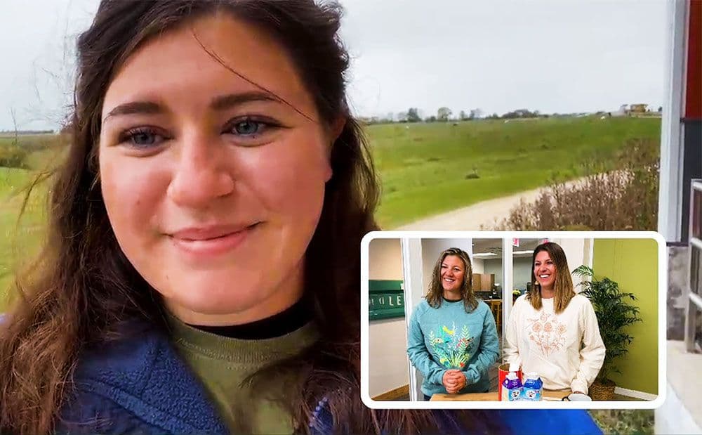 Cows on the pasture at the Servais family farm.